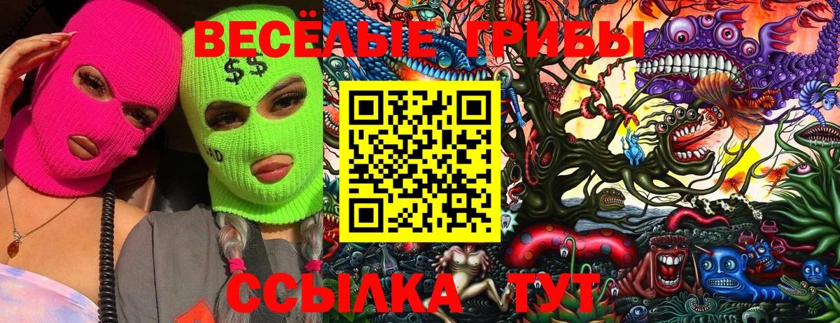 Алушта  Галлюциногенные грибы мухоморы  Вход с VPN  Галлюциногенные грибы Psilocybine cubensis 