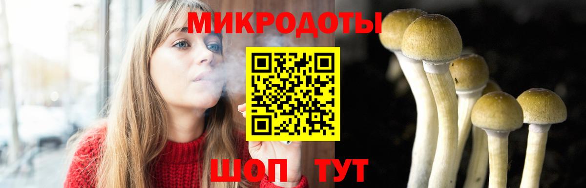 Галлюциногенные грибы прущие грибы Алушта